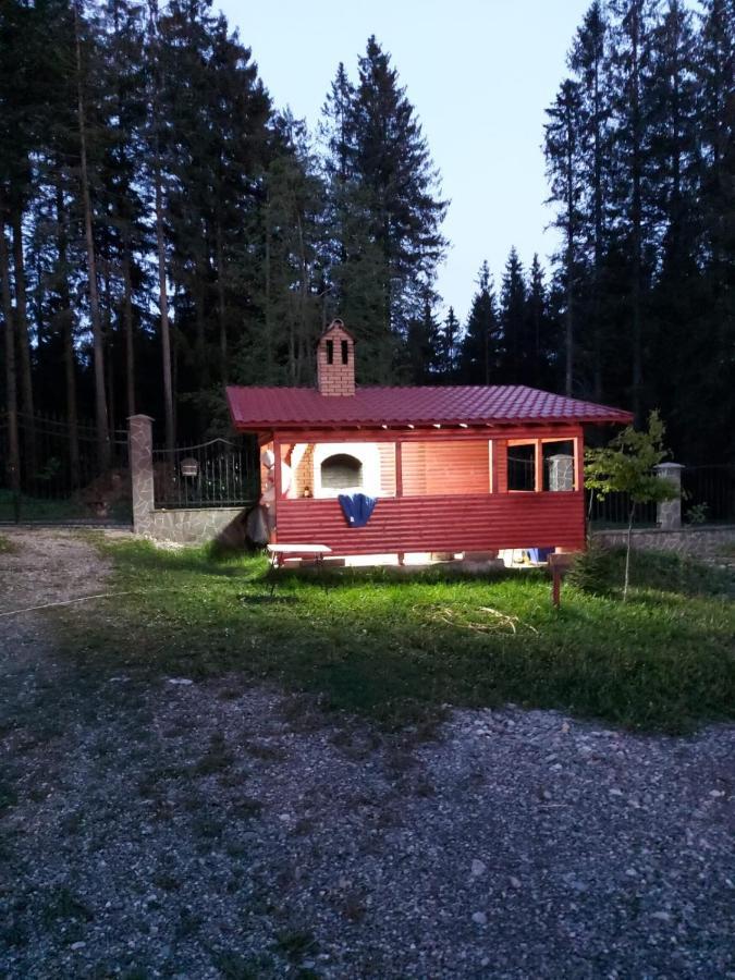 Casa De Vacanta Paraul Rece Exterior foto
